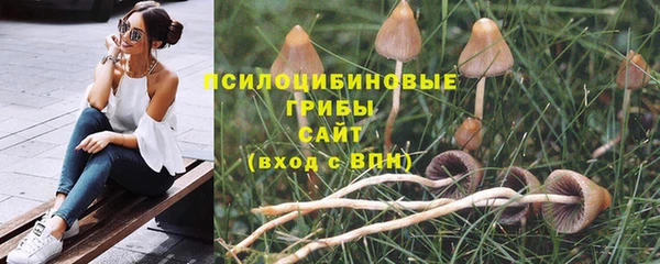 ешки Алексеевка