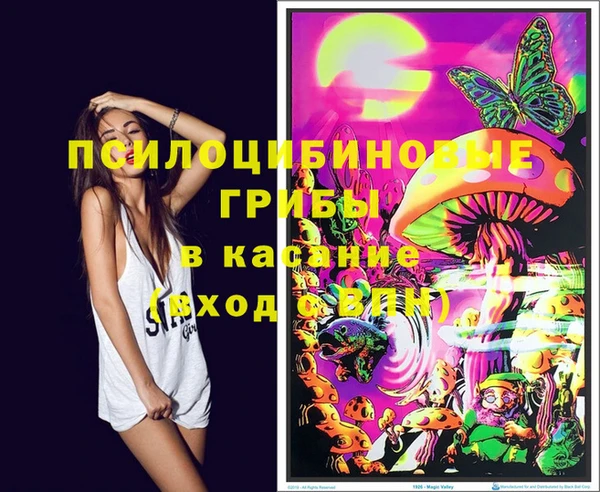 амф Абаза