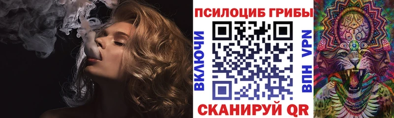 Псилоцибиновые грибы GOLDEN TEACHER  где продают   Конаково 